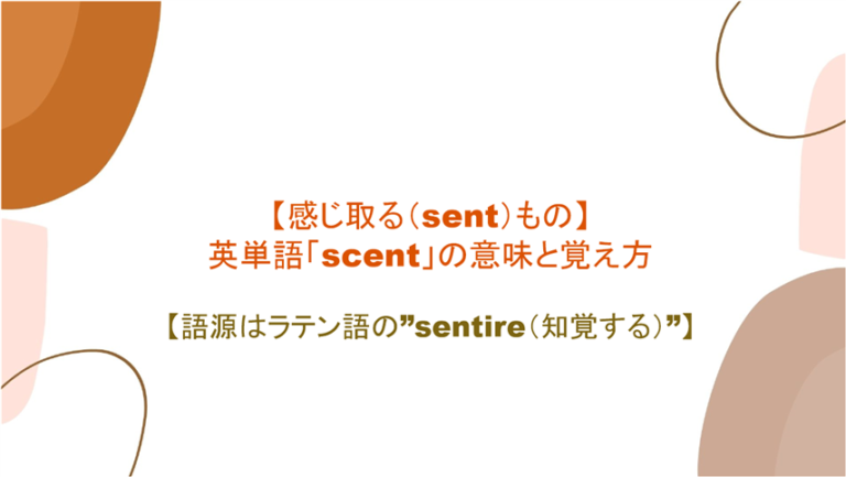 感じ取る Sent もの 英単語 Scent の意味と覚え方 語源はラテン語の Sentire 知覚する まいにー 毎日 English